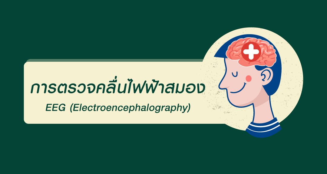 การตรวจคลื่นไฟฟ้าสมอง EEG (Electroencephalography)