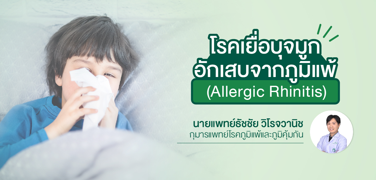โรคเยื่อบุจมูกอักเสบจากภูมิแพ้ (Allergic Rhinitis) - โรงพยาบาลศิครินทร์