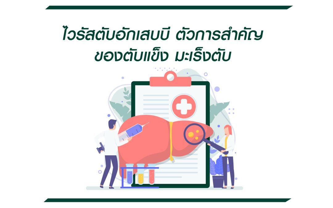 ไวรัสตับอักเสบบี ตัวการสำคัญของตับแข็ง มะเร็งตับ