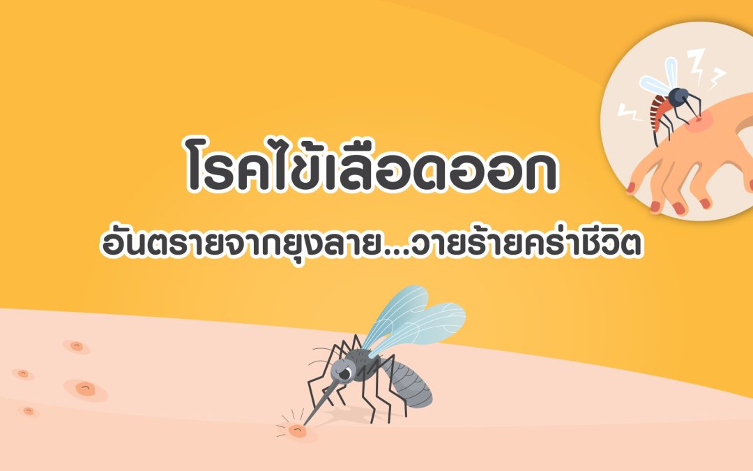 ไข้เลือดออก อันตรายจากยุงลาย…วายร้ายคร่าชีวิต
