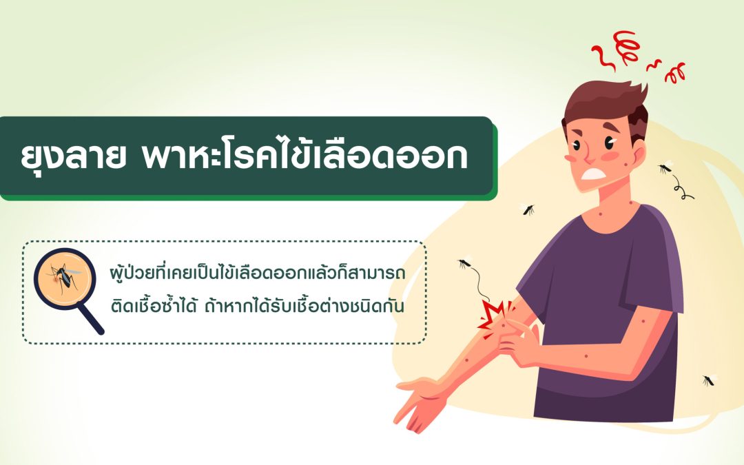 ยุงลาย พาหะนำโรคไข้เลือดออก