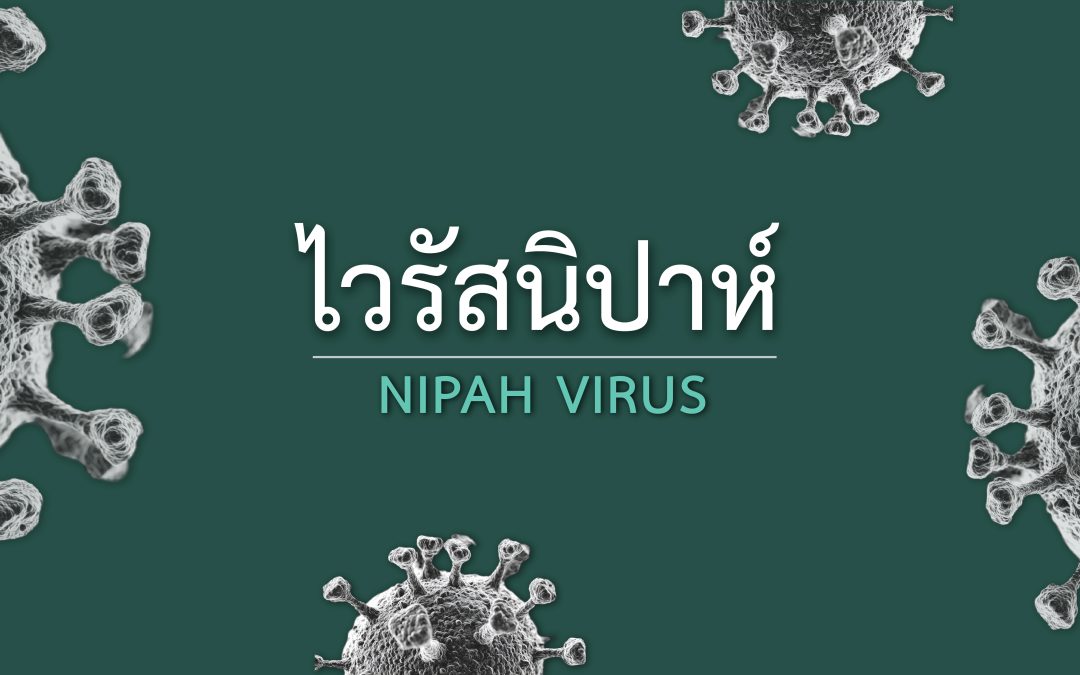 รู้จัก “ไวรัสนิปาห์” (Nipah Virus) ร้ายแรงกว่าโควิดจริงหรือ?!
