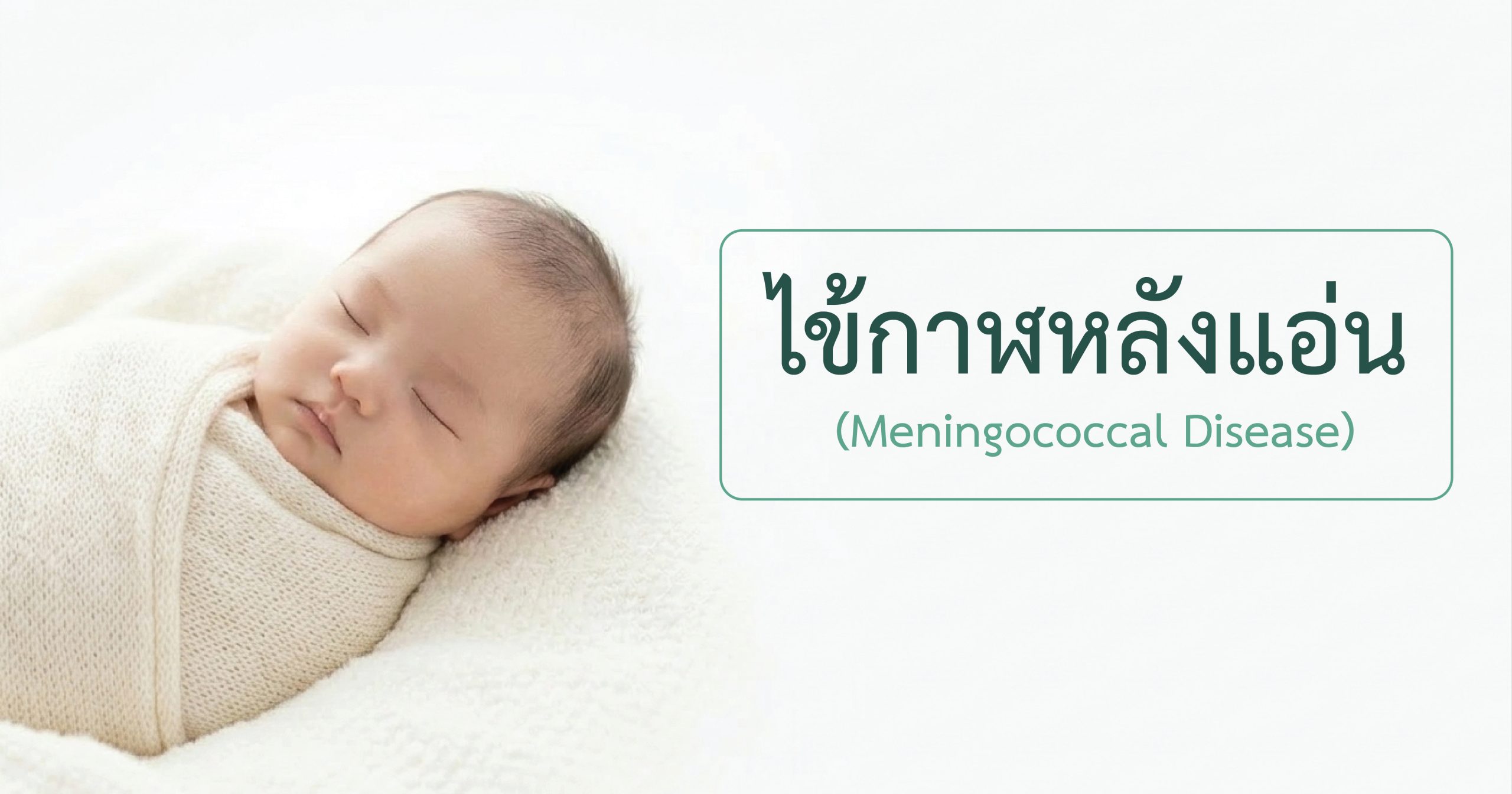 บทความไข้กาฬหลังแอ่น-01