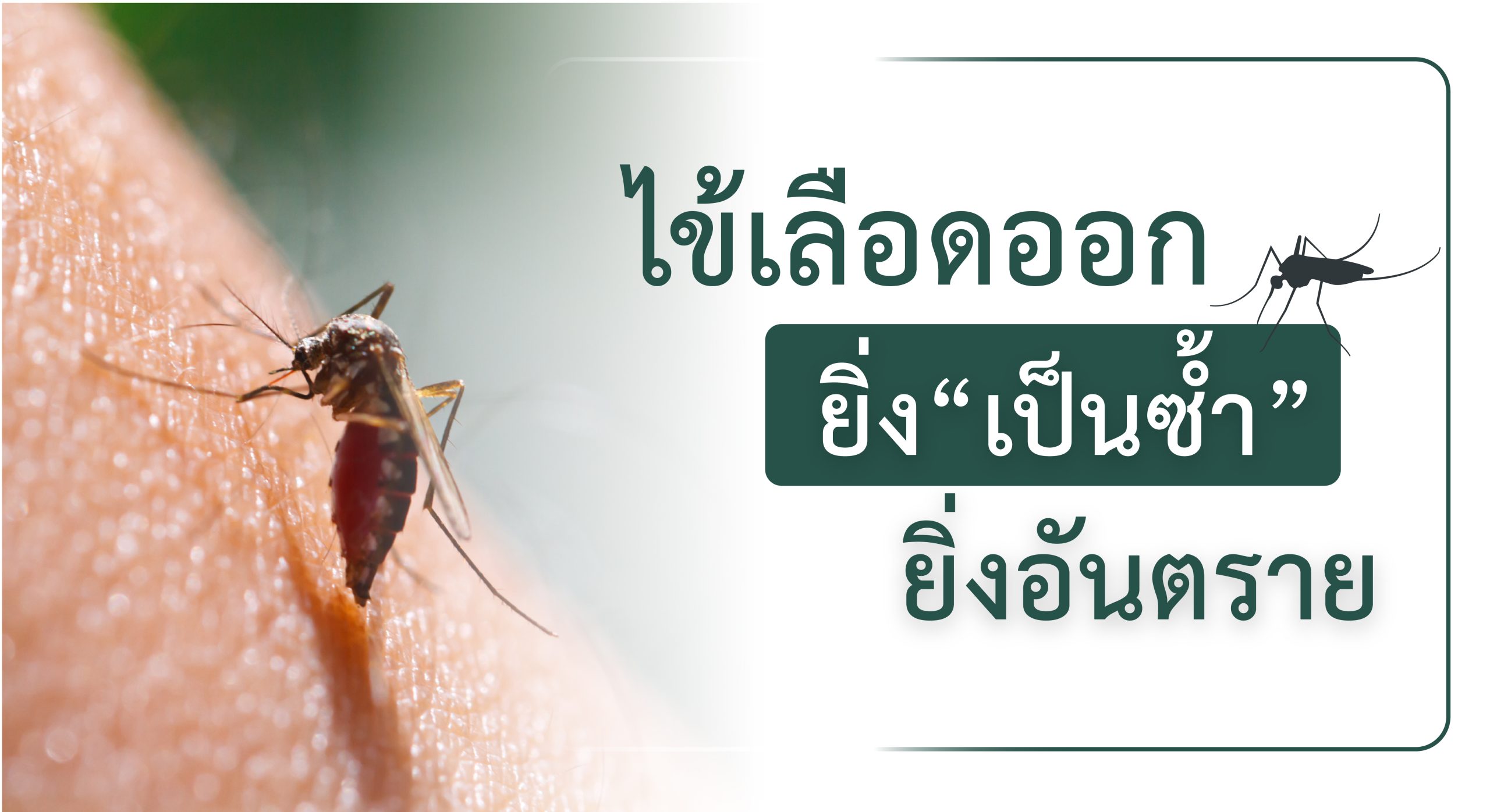 ไข้เลือดออก-01