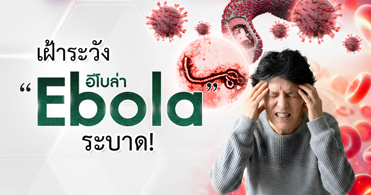 ปกอีโบลา